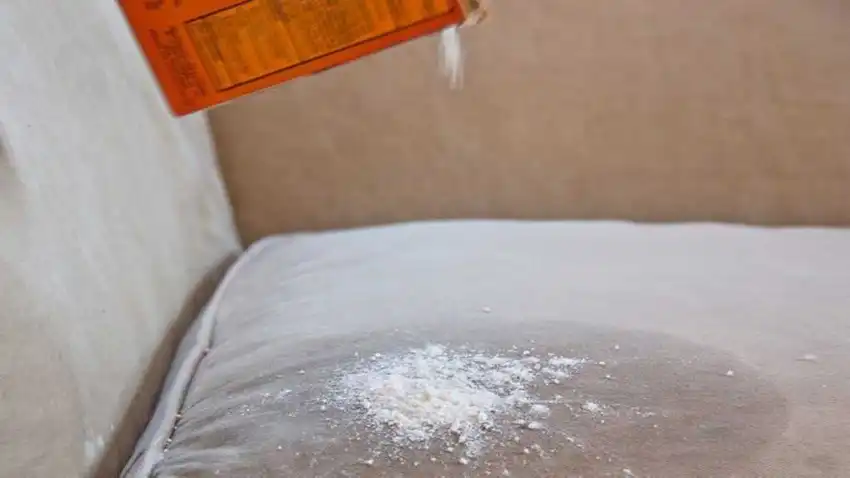 Use Baking Soda For Odour